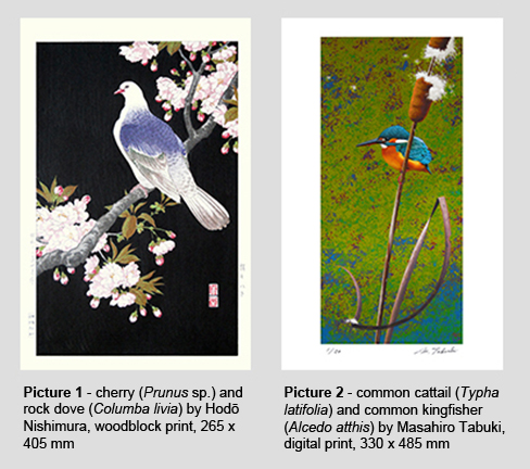 Colored Background examples